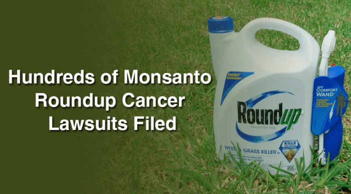 Lawsuit Alleges Roundup Weed Killers Cause Non-Hodgkin’s Lymphoma | by ...