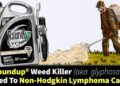 Roundup Lawsuits For Non-Hodgkin Lymphoma Victims
