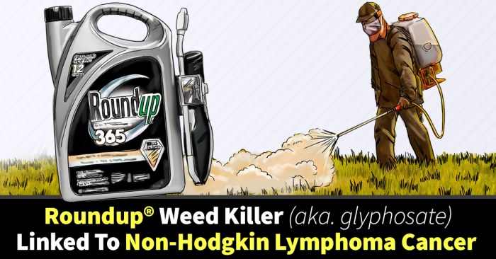 Roundup Lawsuits For Non-Hodgkin Lymphoma Victims